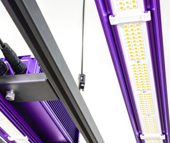 Lumatek ZEUS 465W LED PRO 3.1