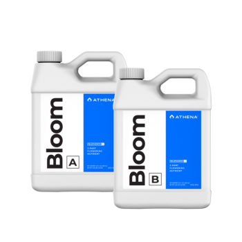 Athena Bloom A + B 946 ml, 3,79 L
