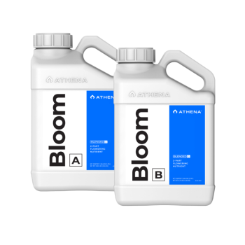 Athena Bloom A + B 946 ml, 3,79 L