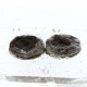 Jiffy Peat Soil Pellet 36 pcs.