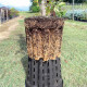 Plant pot Ercole round 1.3 L - 25 L