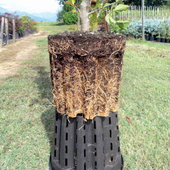 Plant pot Ercole round 25 L