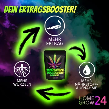 Homegrow24 Mykorrhiza-granulat 100 g