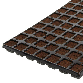 Eazy Plug cuttings tray 3,6 x 3,6cm - 77 pcs.