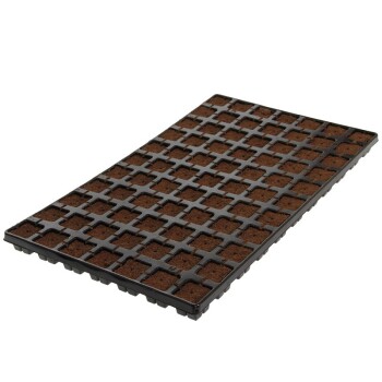 Eazy Plug cuttings tray 3,6 x 3,6cm - 77 pcs.