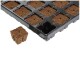 Eazy Plug cuttings tray 3,6 x 3,6cm - 77 pcs.