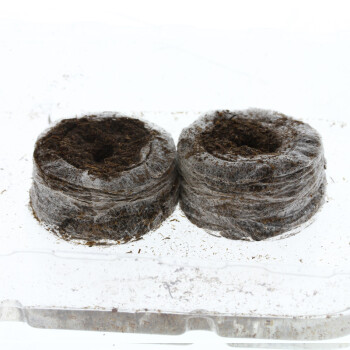 Jiffy Peat Soil Pellet 10 pcs.