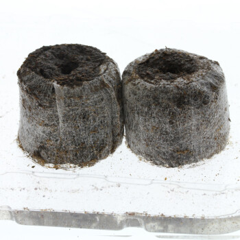 Jiffy Peat Soil Pellet 10 pcs.