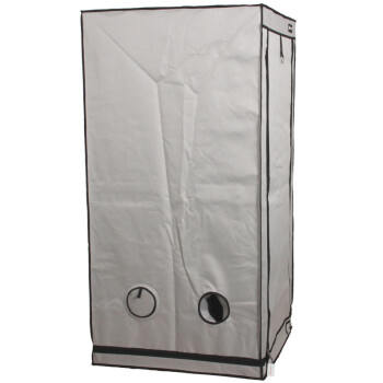 HOMEbox Ambient Q60+ Plus 60 x 60 x 160 cm
