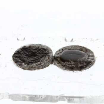 Jiffy Peat Soil Pellet 10, 50, 100, 1000 pcs.