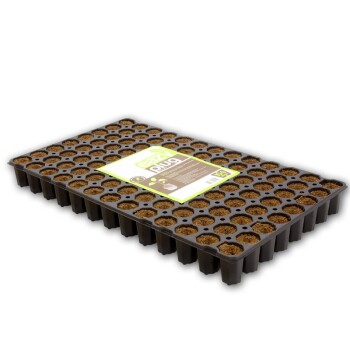 Eazy Plug starter plug tray CT104C - 104 pieces...