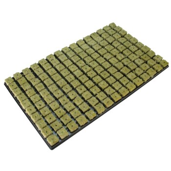 Grodan Rockwool Tray - Tray 77 pcs, Tray 150 pcs